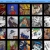 hestur.yorniq.xyz avatar