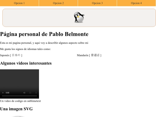 personal screenshot