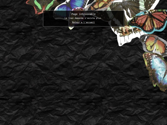 404 screenshot
