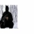 rotting2oo5.yorniq.xyz avatar