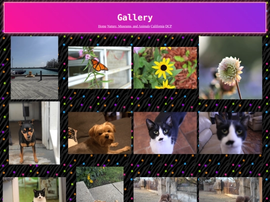 photos screenshot