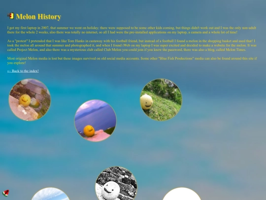 gallery/melon-history screenshot