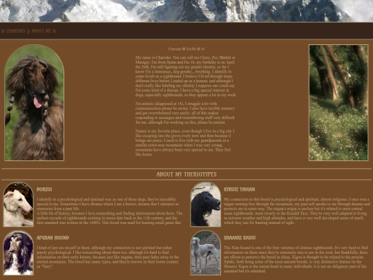 HOMEPAGE/NAVIGATION/aboutme screenshot