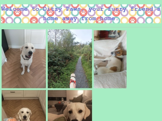 Assignment screenshot