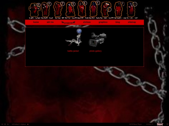 projects screenshot