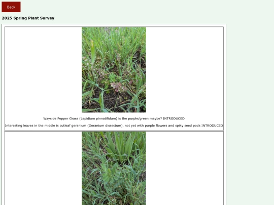 plants screenshot