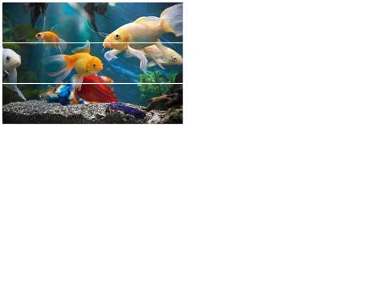 puzzle screenshot
