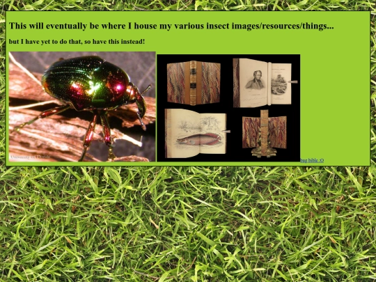 bugs screenshot