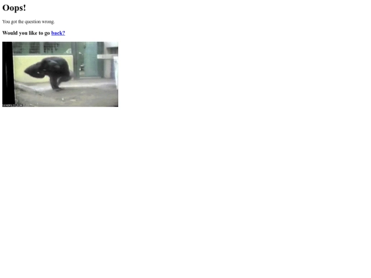 mandrills/mandrillwrong4 screenshot