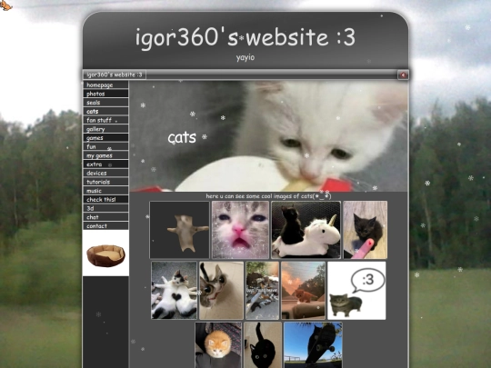 cat screenshot