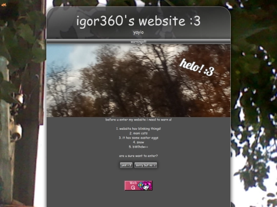 oldweb screenshot