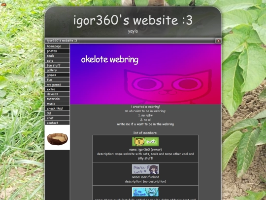 webring screenshot