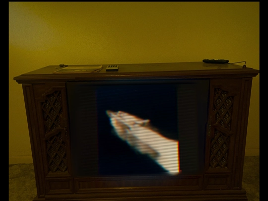 1986.1 screenshot