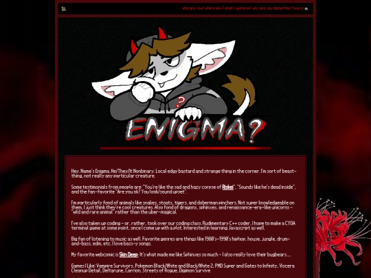 about_us/Enigma screenshot