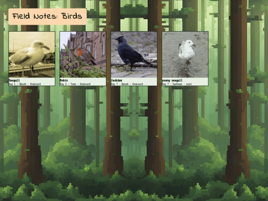 photos/birds screenshot