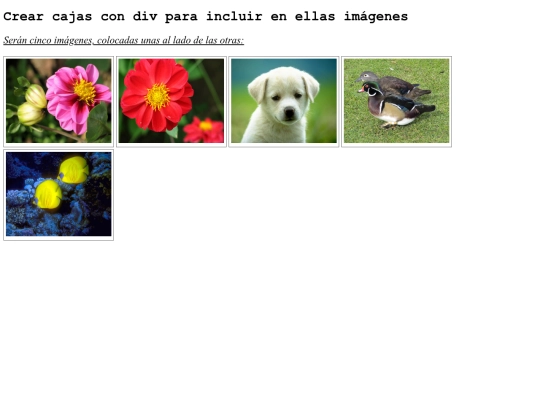 Seg_web/pag_divs_imagenes(1) screenshot