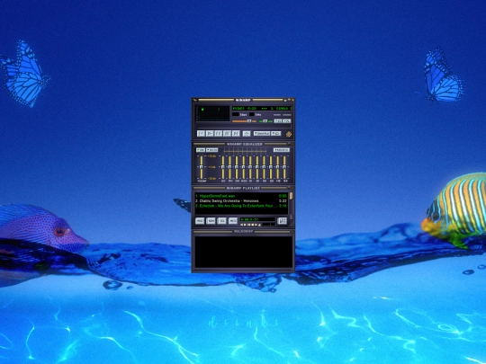 player screenshot