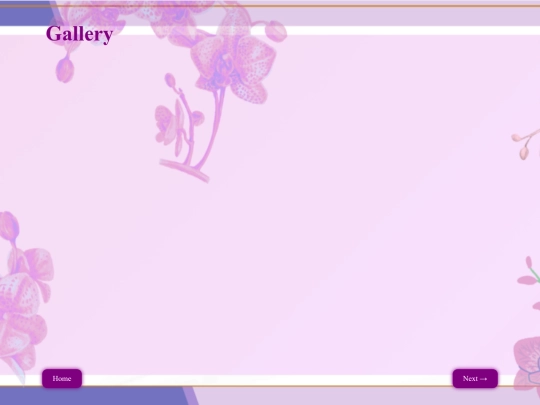 gallery screenshot