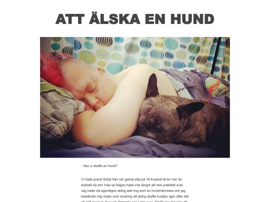 articles/alskaenhund screenshot