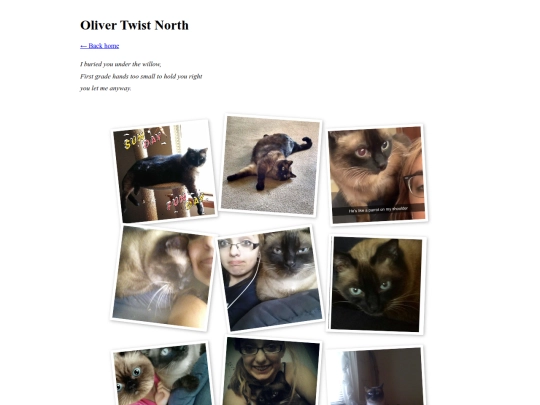olliephotos screenshot