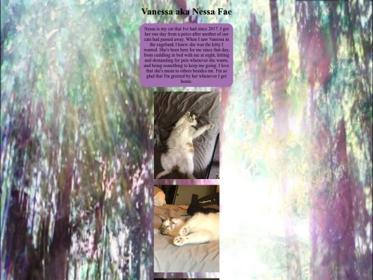 Vanessa screenshot