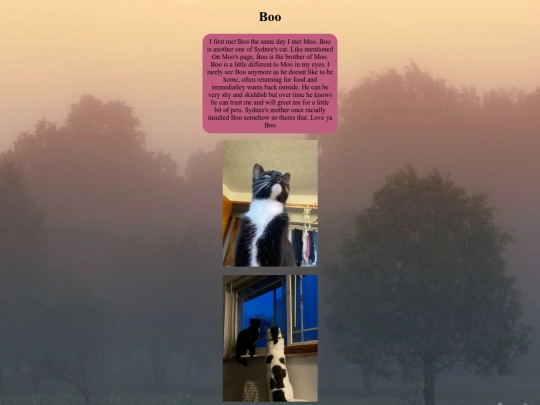 page4/boo screenshot
