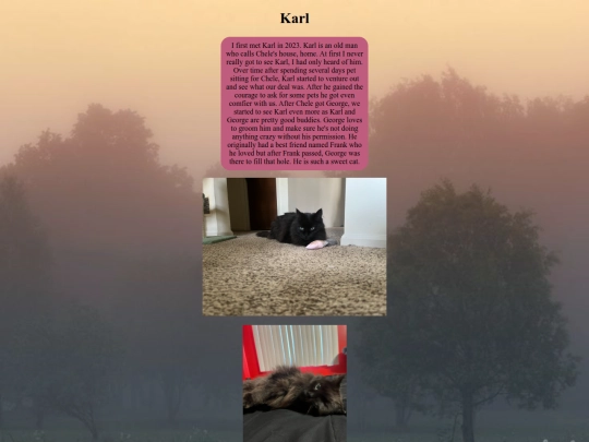 page4/karl screenshot