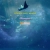 orbitaltenor.yorniq.xyz avatar