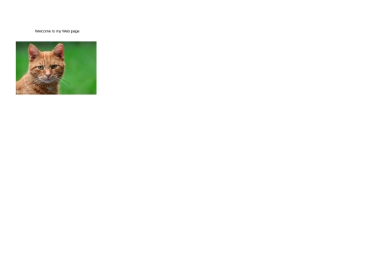 New folder screenshot