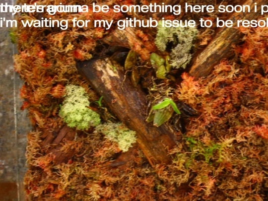 terrarium screenshot
