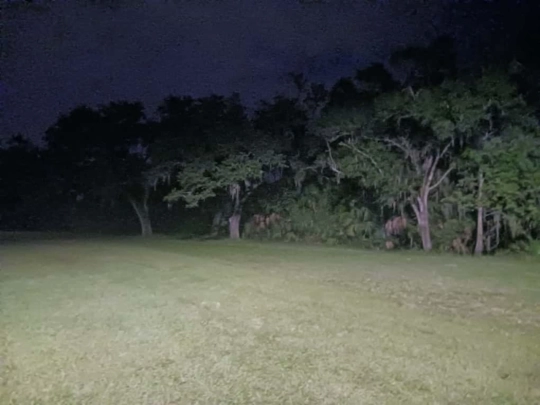horror screenshot