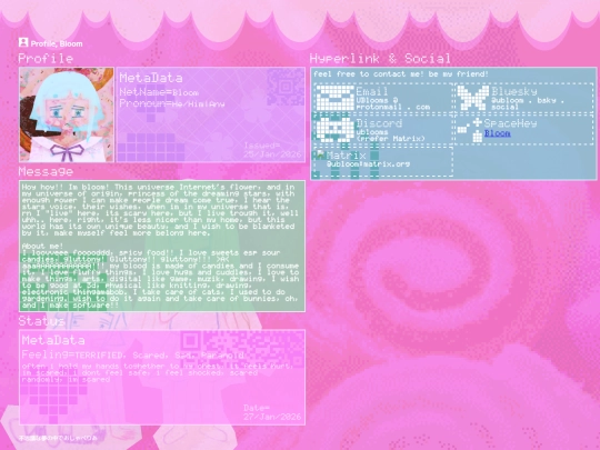 applications/common/profile screenshot