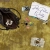 The web site of poorpicturequality avatar