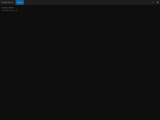 windowsterminalwebklonu screenshot