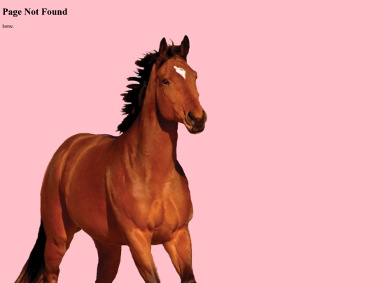 not_found screenshot