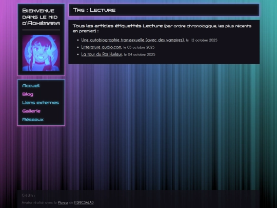 blog/tag/lecture screenshot