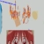 hornyhamburger.yorniq.xyz avatar