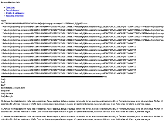 RobotoFont/roboto-mediumitalic-demo screenshot