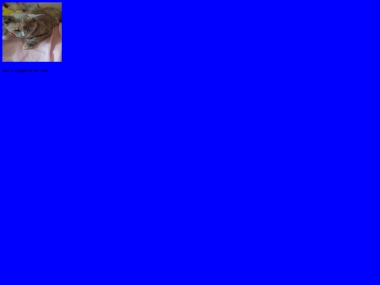 2 screenshot