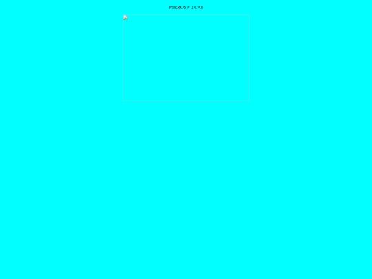 IMAGEN screenshot