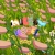 millow-hotel.yorniq.xyz avatar