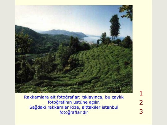 Foto_Rize-ist screenshot
