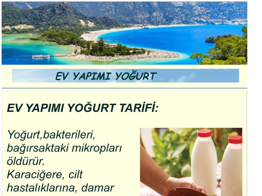 Yogurt screenshot
