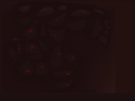 paranvestigateunit/unknown screenshot