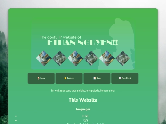 projects screenshot
