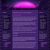 bluehewn.yorniq.xyz avatar