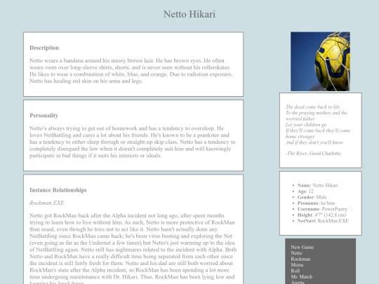 netto screenshot