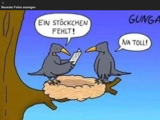 Rezepte/Neueste Fotos anzeigen screenshot