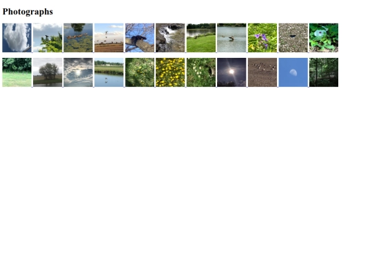 photographs screenshot