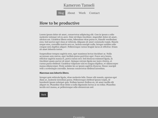 html/article screenshot